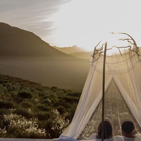 Simbavati Cederberg Ridge Villa Clanwilliam Kültér fotó