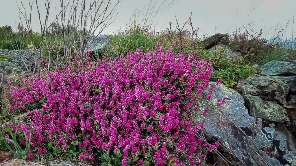 Simbavati Cederberg Ridge Villa Clanwilliam Kültér fotó