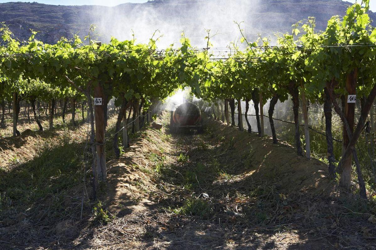 Simbavati Cederberg Ridge Villa Clanwilliam Kültér fotó