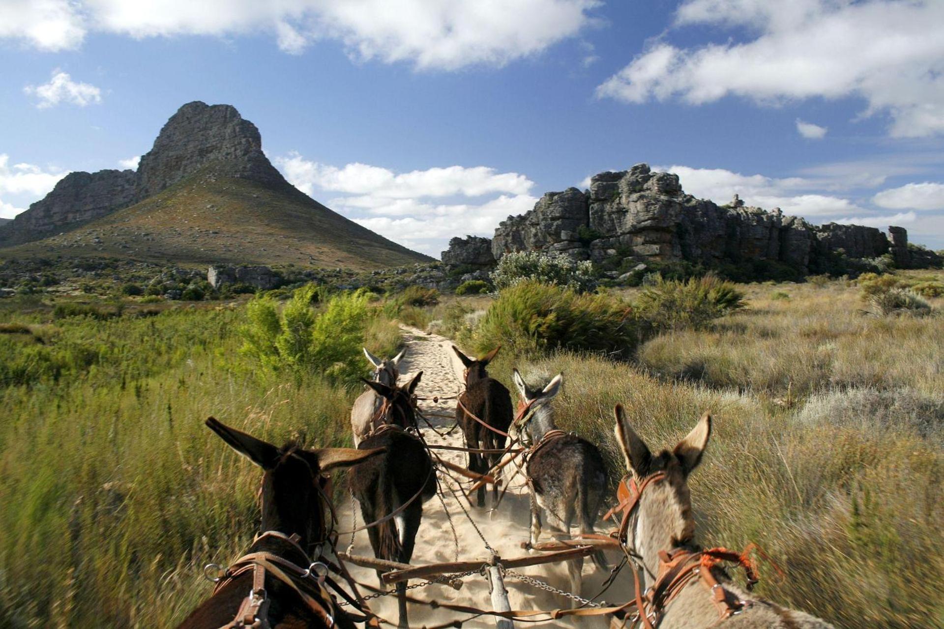 Simbavati Cederberg Ridge Villa Clanwilliam Kültér fotó
