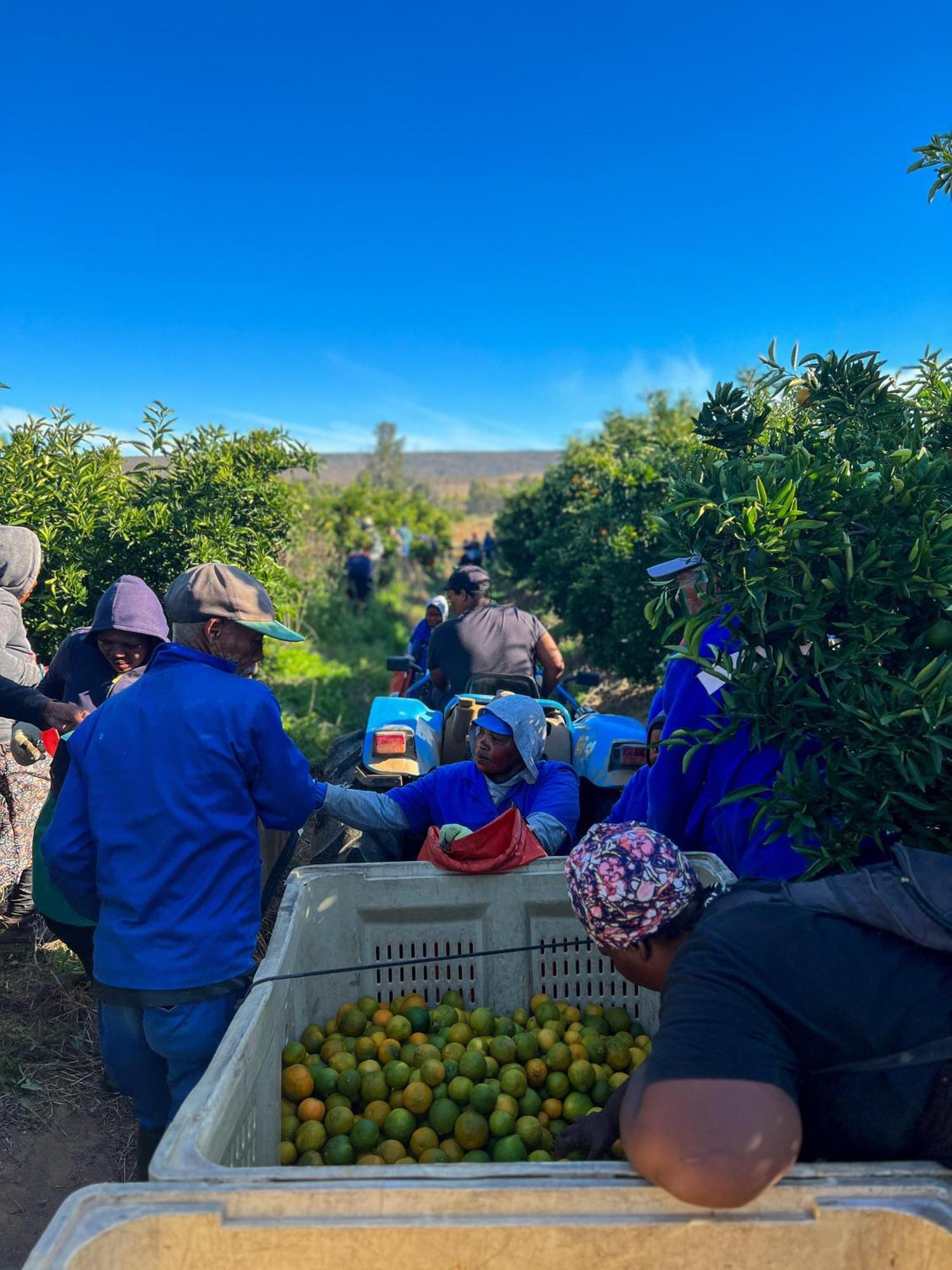 Simbavati Cederberg Ridge Villa Clanwilliam Kültér fotó